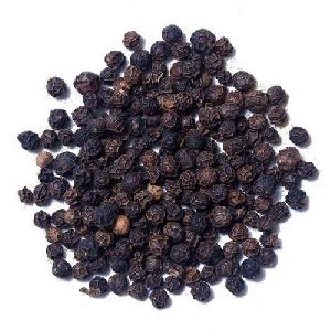 black-pepper-seeds-1_looking For distributors